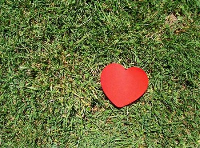 Amor.
