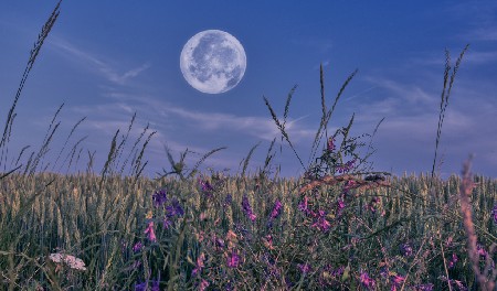 Un viaje a la luna que no nos aleja de Dios