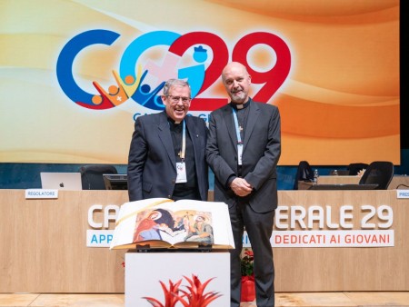 El Vicario es el primer colaborador del Rector Mayor en el gobierno de la Sociedad y tiene potestad ordinaria vicaria. 