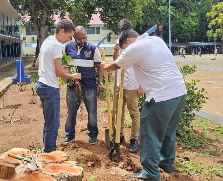 Los estudiantes participan activamente en la plantación de nuevos árboles y plantas ornamentales, aprendiendo sobre la importancia de la reforestación y el cuidado del medio ambiente.